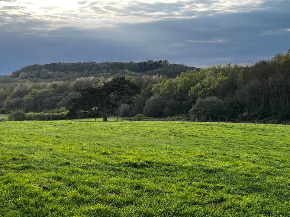 Delta Hotels by Marriott - York